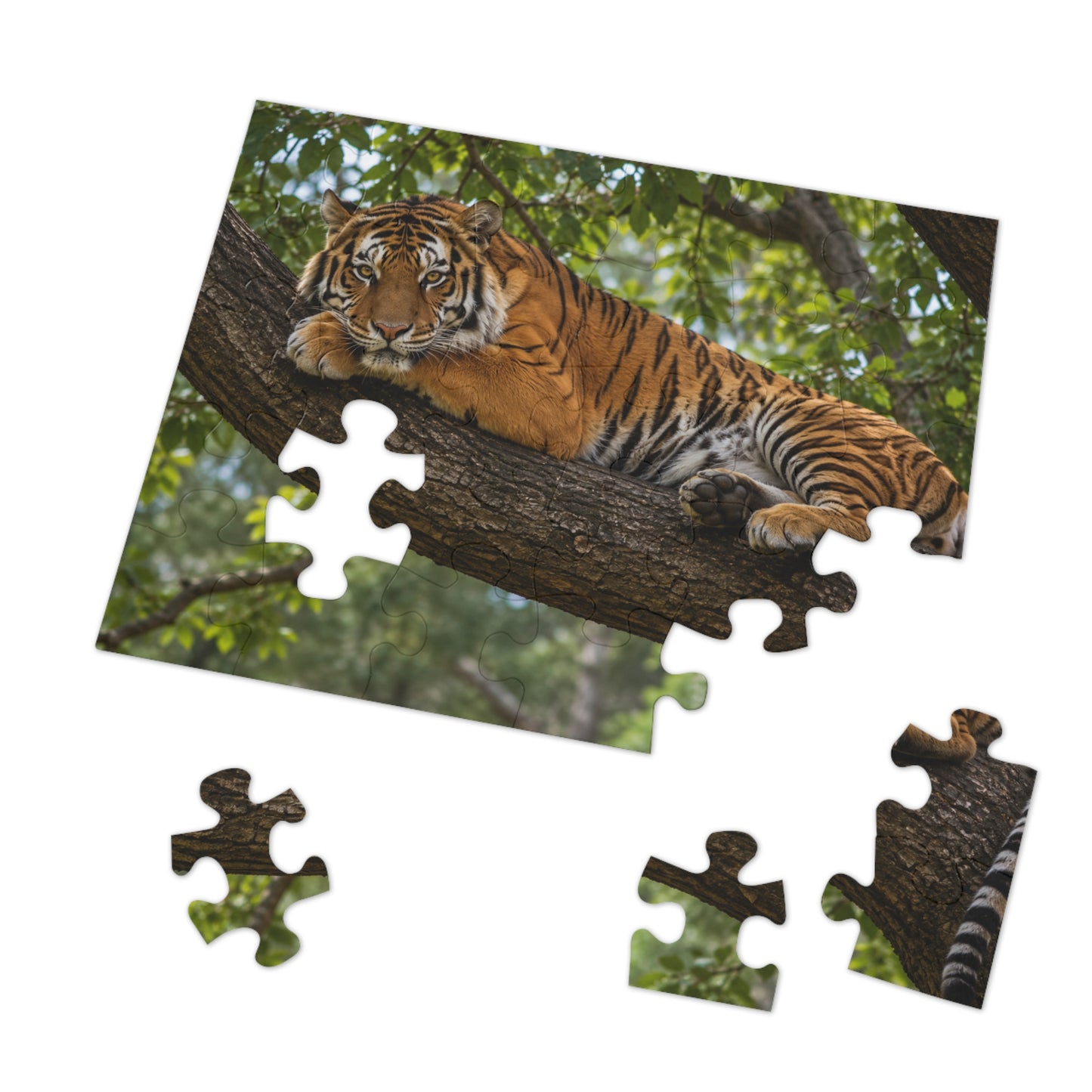 Lazy Tiger Jigsaw Puzzle — 252 Pieces in Gift Tin | Ocean Learning Fun