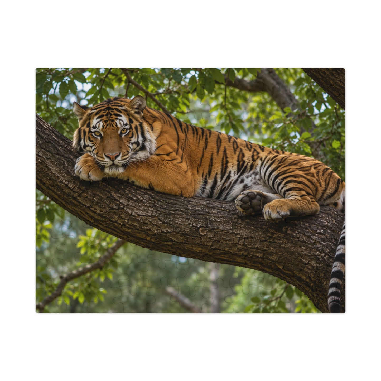 Lazy Tiger Jigsaw Puzzle — 252 Pieces in Gift Tin | Ocean Learning Fun