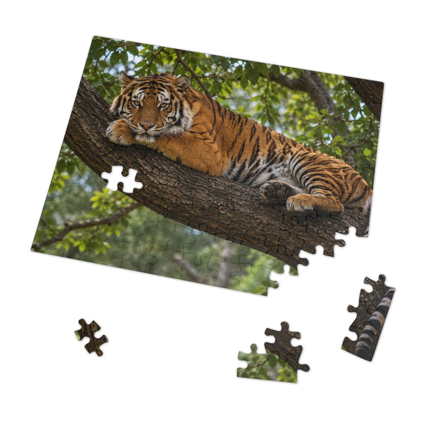 Lazy Tiger Jigsaw Puzzle — 252 Pieces in Gift Tin | Ocean Learning Fun