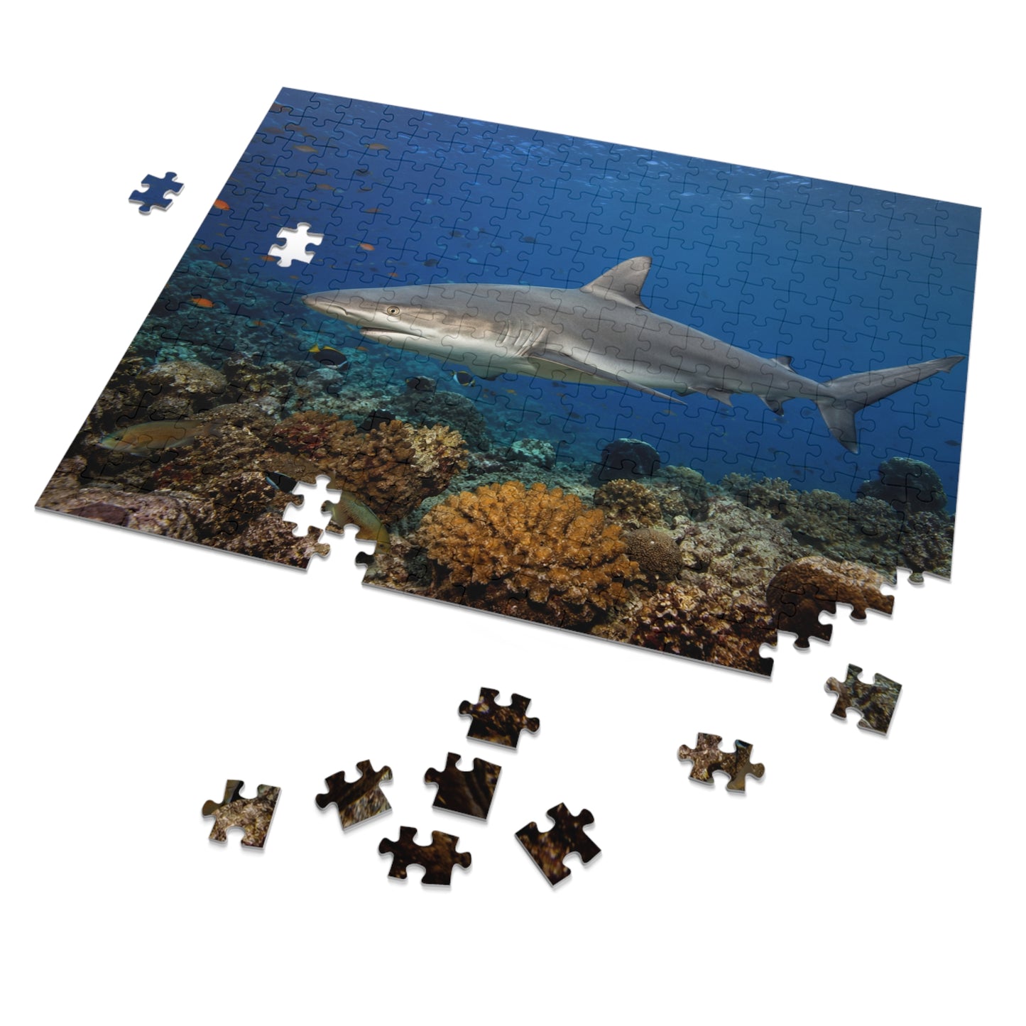Shark Jigsaw Puzzle 252 Pieces with Gift Tin — Ocean Reef Puzzle for Kids & Adults
